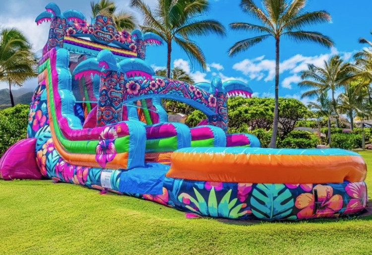 Water Slides Water Slides